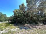 2515 Oleander Ter - Photo 3