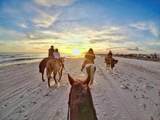 Lot 10 Seascape Dr - Photo 15