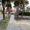 Lot 22 Hibiscus Dr - Photo 15