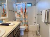 1223 Avocet Ln - Photo 42