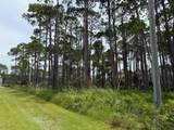 1431 Hwy 98 - Photo 14