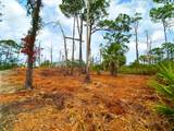 Parcel B Cape San Blas Rd - Photo 2