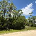 1259 E Gulf Beach Dr - Photo 6