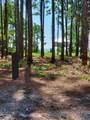 164 Royal Tern Way - Photo 1