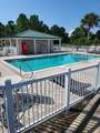 164 Royal Tern Way - Photo 8
