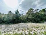 158 Singleleaf Rd - Photo 2