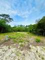 117 Spoonbill Ct - Photo 8