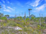 Parcel B Cape San Blas Rd - Photo 1