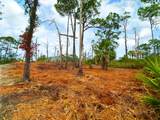 Parcel B Cape San Blas Rd - Photo 14