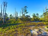 Parcel B Cape San Blas Rd - Photo 6