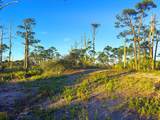 Parcel B Cape San Blas Rd - Photo 8