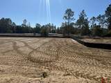 384 Coastal Canopy Ln - Photo 2