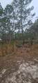 134 Timber Ln - Photo 7