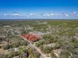 0 Sopchoppy Hwy - Photo 2