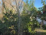 223 High Roller Soldier Rd - Photo 18