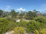 TBD Cape San Blas Rd - Photo 14