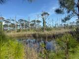 TBD Cape San Blas Rd - Photo 18