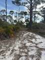 TBD Cape San Blas Rd - Photo 21