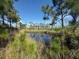 TBD Cape San Blas Rd - Photo 9