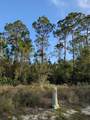 200 Ante-Beppum Loop - Photo 4