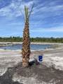 570 Clark's Landing Rd - Photo 14