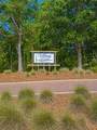 115 Shallow Reed Dr - Photo 5