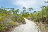 1248 Sea Dune Dr - Photo 48
