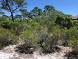 1244 Sea Dune Dr - Photo 5