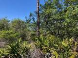 1244 Sea Dune Dr - Photo 8