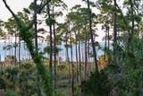 825 E Pine Ave - Photo 34