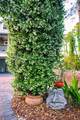 825 E Pine Ave - Photo 66