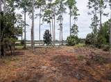 150 New River Ln - Photo 4