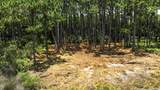 2506 Hwy 98 E - Photo 5
