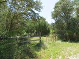 155 Doe Ln - Photo 11