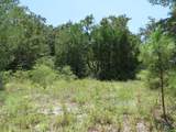155 Doe Ln - Photo 14