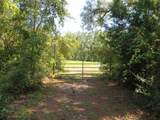 155 Doe Ln - Photo 17