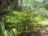 155 Doe Ln - Photo 23