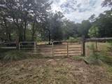 155 Doe Ln - Photo 85