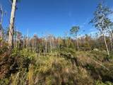 Lot 2 Mcclellan St Se - Photo 13