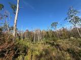 Lot 2 Mcclellan St Se - Photo 16