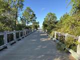 207 Stingray Ln - Photo 66