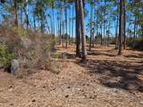 Lot 15 Trey's Ln - Photo 8