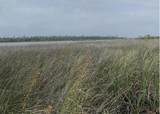 LOT 13 E Bay Dr - Photo 11