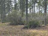 317 Paradise Ln - Photo 2