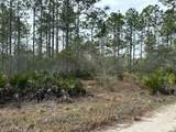 317 Paradise Ln - Photo 3