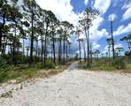 4244 Cape San Blas Rd - Photo 3