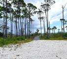 4244 Cape San Blas Rd - Photo 8