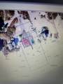 1628 E Gulf Beach Dr - Photo 19