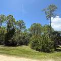 1259 E Gulf Beach Dr - Photo 2