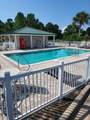 164 Royal Tern Way - Photo 9